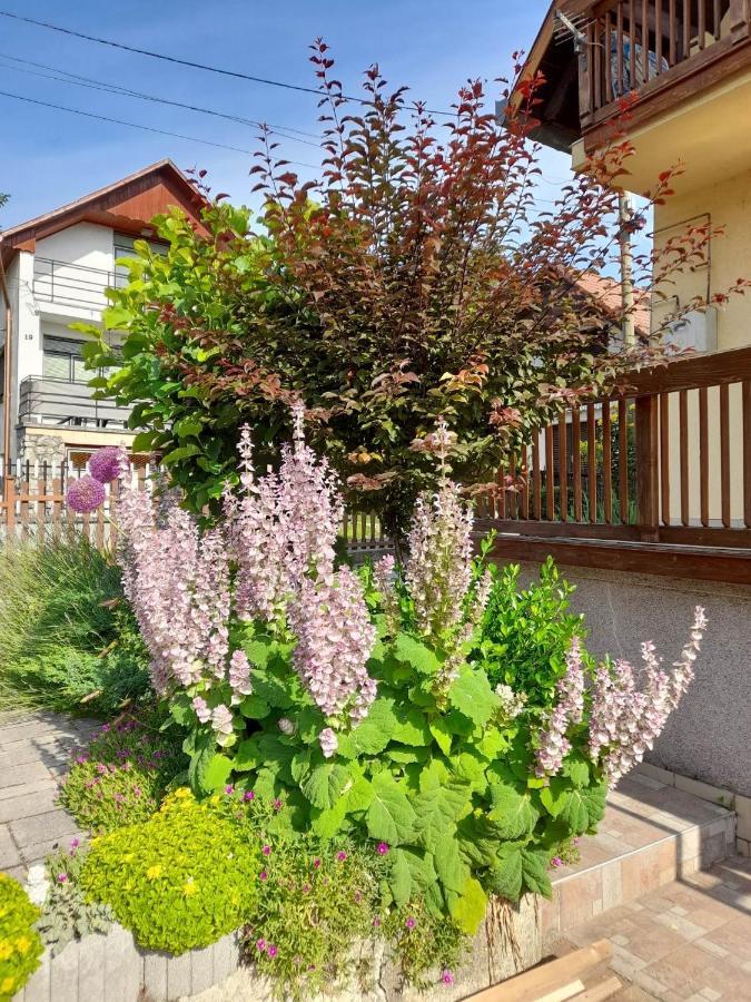 Harmonia Vendeghaz 100 Meterre Az Igali Gyogyfuerdotol Apartamento Exterior foto