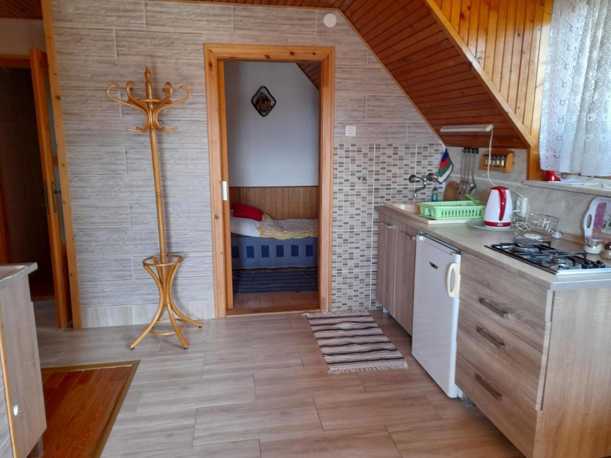 Harmonia Vendeghaz 100 Meterre Az Igali Gyogyfuerdotol Apartamento Exterior foto