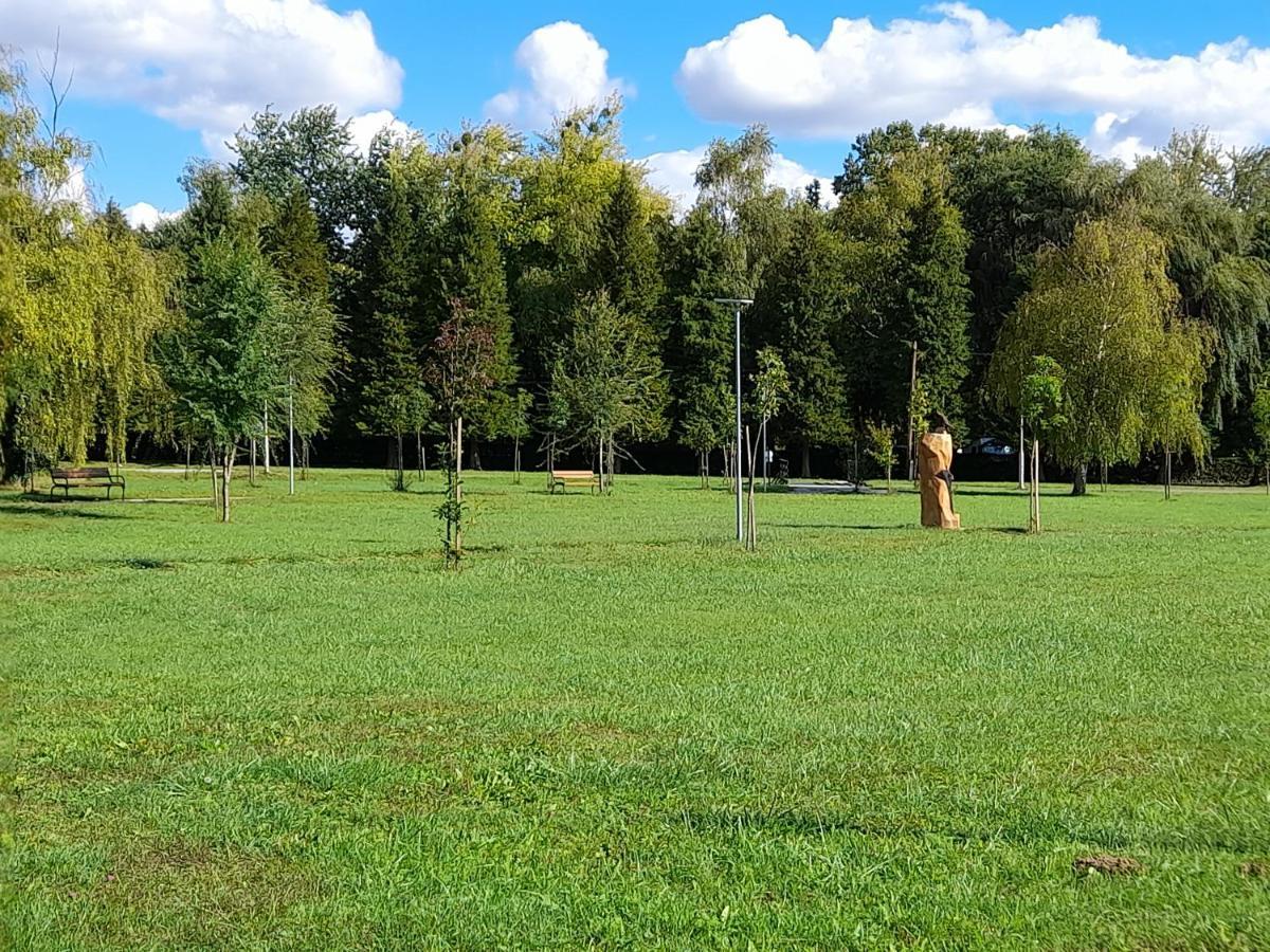 Harmonia Vendeghaz 100 Meterre Az Igali Gyogyfuerdotol Apartamento Exterior foto
