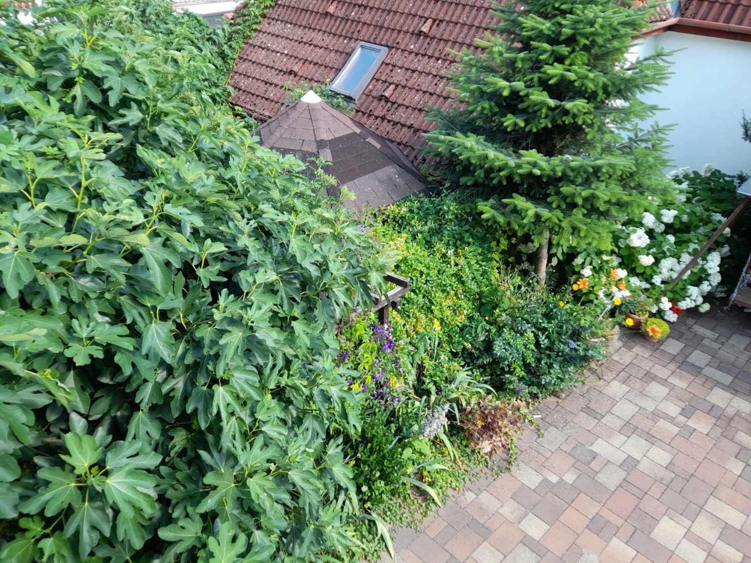 Harmonia Vendeghaz 100 Meterre Az Igali Gyogyfuerdotol Apartamento Exterior foto