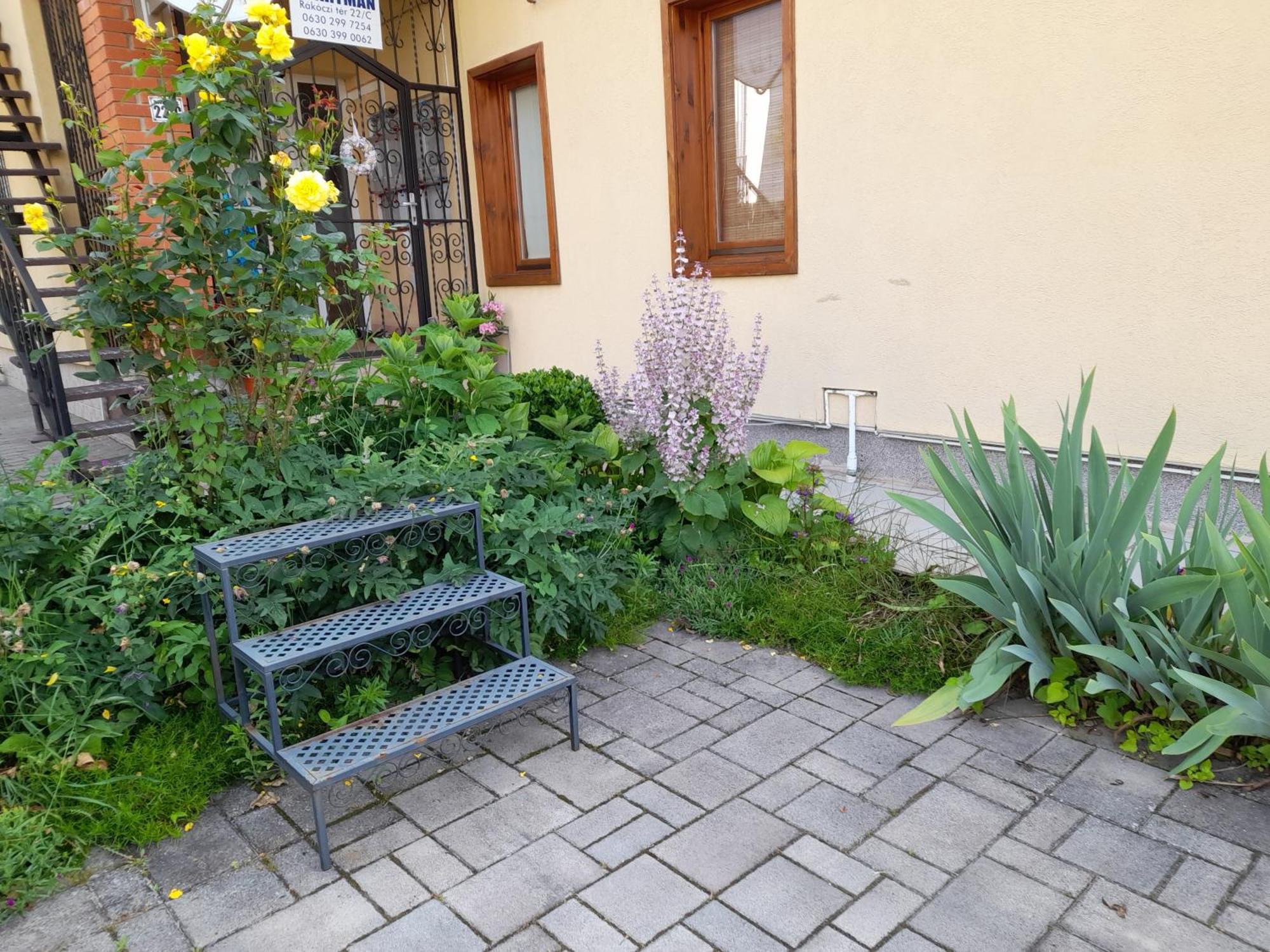 Harmonia Vendeghaz 100 Meterre Az Igali Gyogyfuerdotol Apartamento Exterior foto