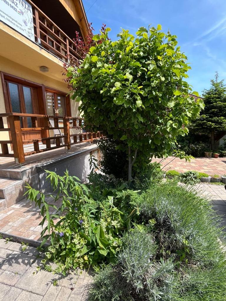 Harmonia Vendeghaz 100 Meterre Az Igali Gyogyfuerdotol Apartamento Exterior foto